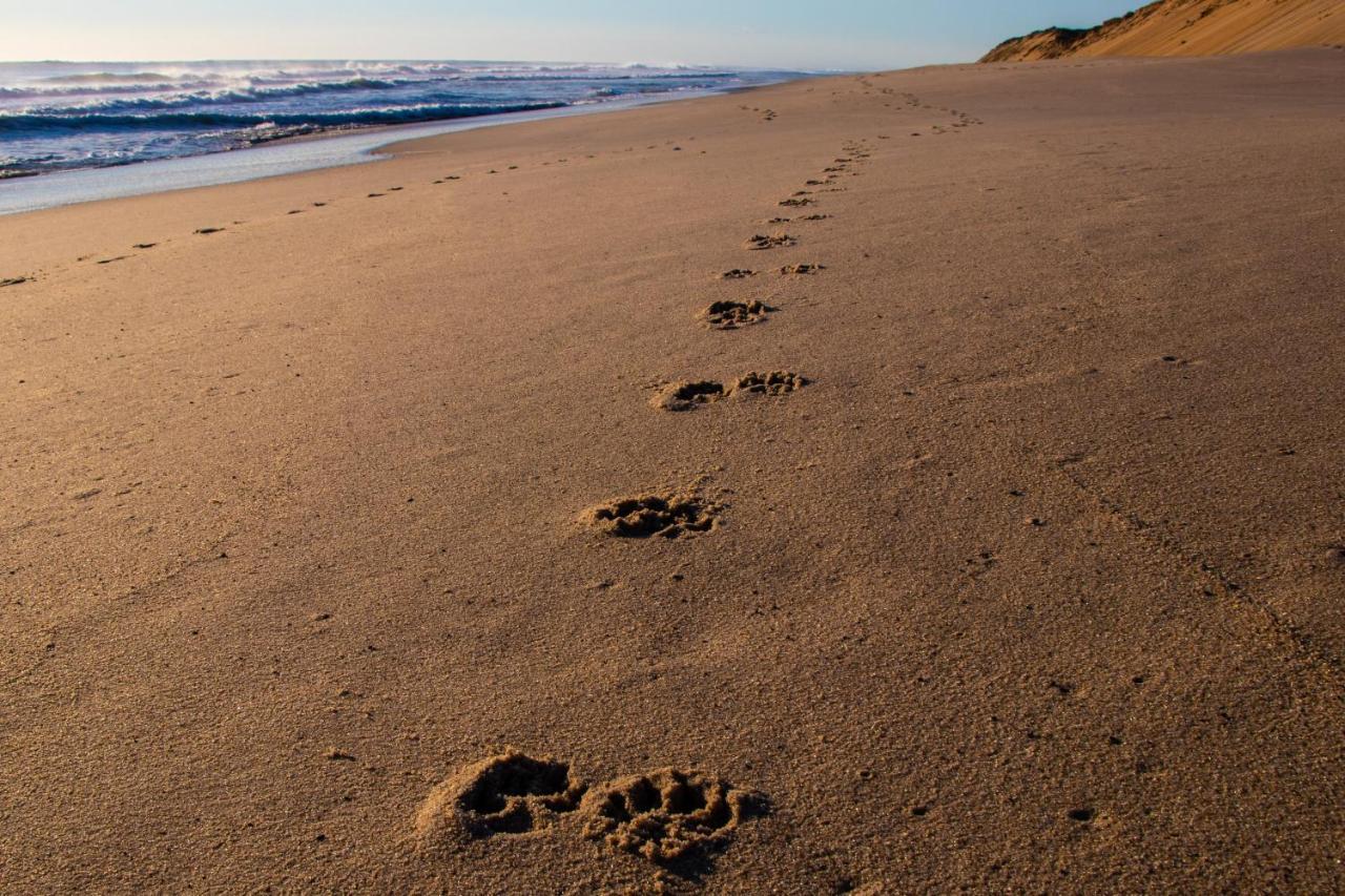 Endless Coast, A Boutique Hotel Wellfleet Esterno foto